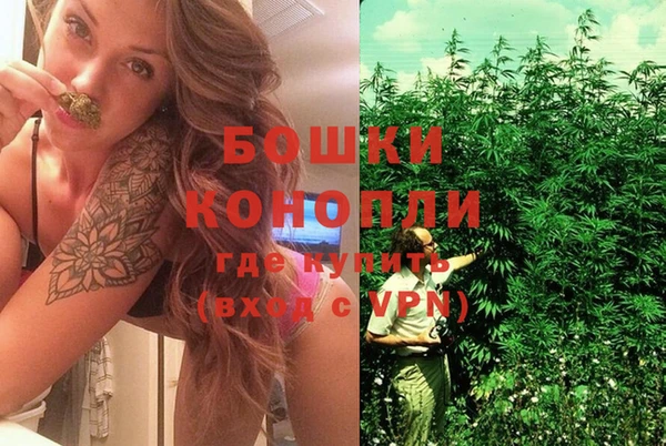 метадон Новозыбков