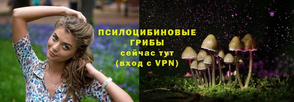 мефедрон мука Новодвинск