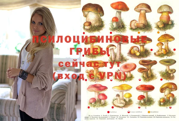 синтетический гашиш Новокубанск