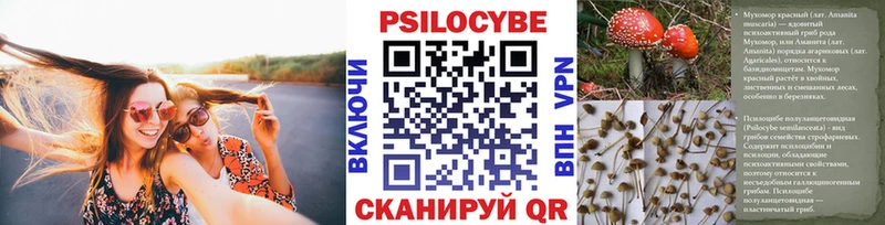 Псилоцибиновые грибы GOLDEN TEACHER закладка OMG как зайти Кисловодск