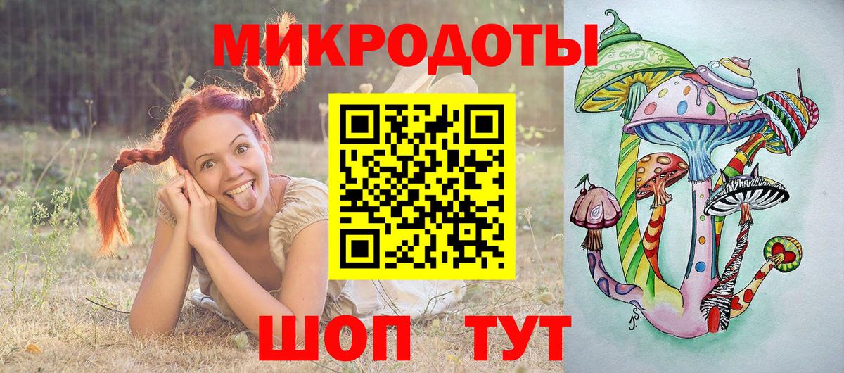 Кисловодск  Псилоцибиновые грибы Psilocybine cubensis  Вход с VPN 