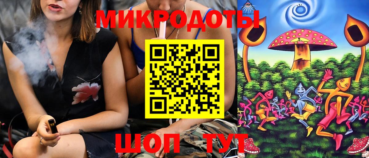 Галлюциногенные грибы Psilocybe Кисловодск