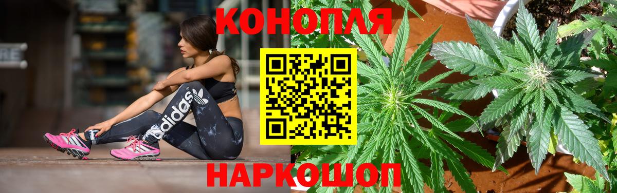 МАРИХУАНА семена Кисловодск